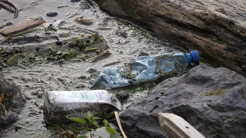 Environmental pollution. Plastic bottles, trash in river, lake.  Video stock 119868074