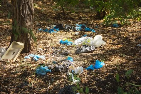 Environmental pollution by plastic. Ecological catastrophy. Fight and ban on  Stock Photos