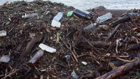 Environmental pollution by plastic waste. Stock Footage 246880385