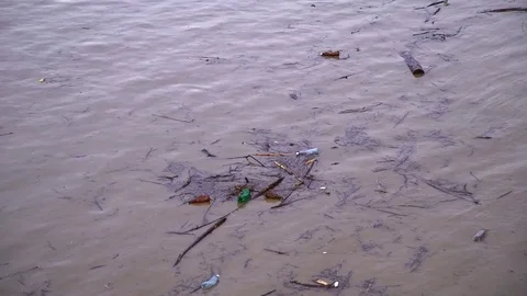 Environmental pollution. The river is carrying garbage after the flood, Uzhgorod Vídeos de archivo 83429389