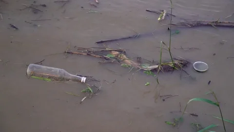 Environmental pollution. The river is carrying garbage after the flood, Uzhgorod 스톡 동영상 83429574