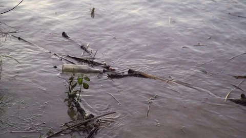 Environmental pollution. The river is carrying garbage after the flood, Uzhgorod Stock-Footage 83429585