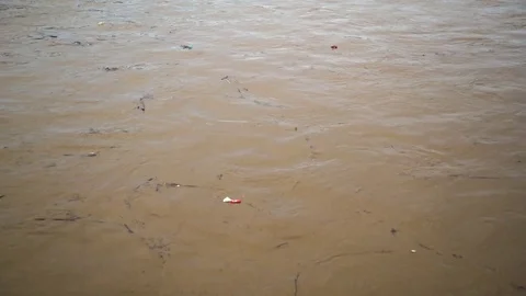 Environmental pollution. The river is carrying garbage after the flood, Uzhgorod Vídeos de archivo 83430660