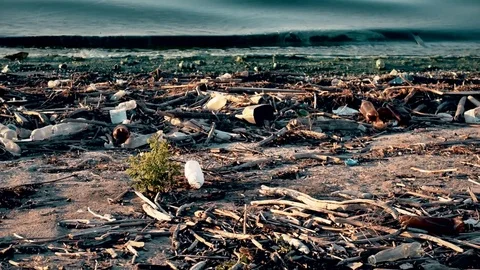 Environmental pollution with trash and plastic wastes on beach Stock Footage 71168257