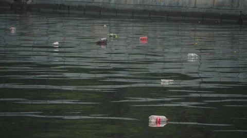 Environmental pollution. Trash floats in a river in the city. Human Stock Footage 136483479