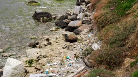 Environmental pollution with trash plastic bottles  Izmir Turkey august 15, 2025 Stock Footage 326444494