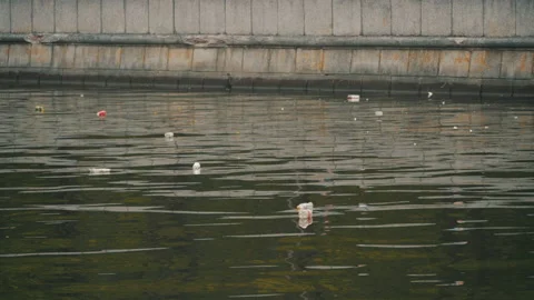 Environmental pollution. Trash swims in the river Stock Footage 136740605