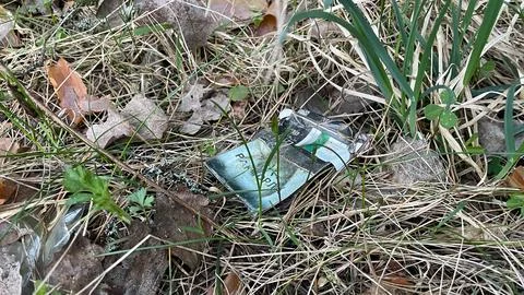 Environmental pollution, a used pack of cigarettes lies in the wild forest,.. Foto stock