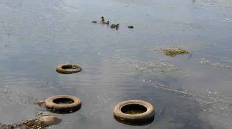 Environmental pollution Vilnius. 動画素材 52884152