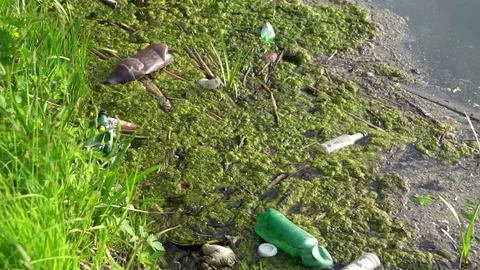 Environmental problem. Garbage dump in the forest 库存影片 75963997