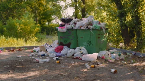 Environmental Problem, Overflowing Dumpsters Standing in City Park Stock Footage 158061218