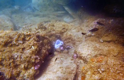 Environmental problem of plastic and other rubbish pollution under the sea Photos