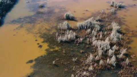 Environmental problem. Water pollution by harmful toxins. Stock Footage 164654489