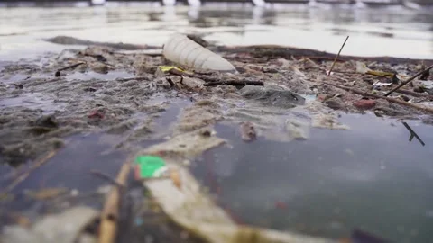 Environmental Problems of a big City. Garbage in the River Stock Footage 170241347