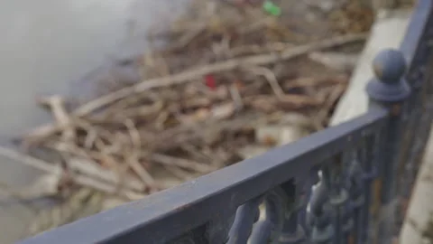 Environmental Problems of a big City. Garbage in the River Stock Footage 170241528