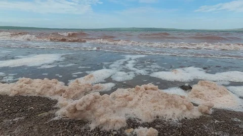 Environmental problems, foam is formed in the water. Stock Footage 112689314