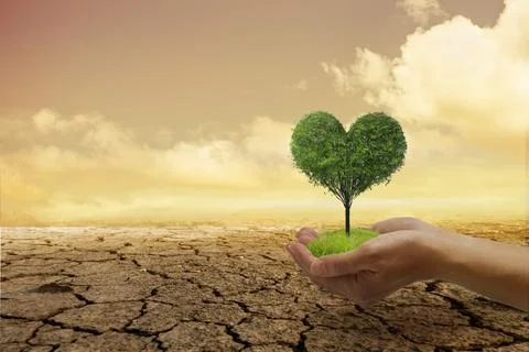Environmental problems,Protect nature and save the world . A small green he.. Stock-Fotos