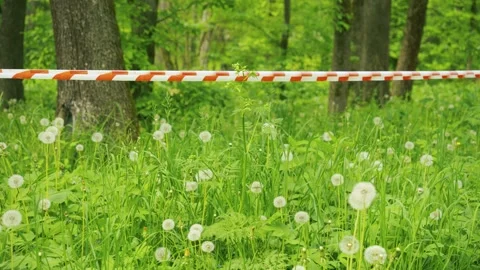 Environmental Protection and restricted access concept Vidéo 336321573
