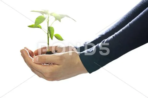 Environmental protection Stock Photos