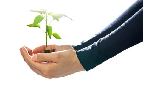 Environmental protection Stock Photos