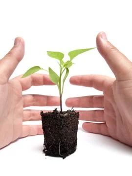 Environmental protection Stock Photos