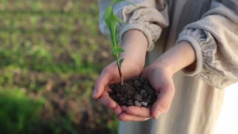 Environmental protection starts small Stock Footage 337941713