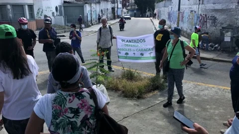 An environmental protests against tree cut off Stock Footage 166653739