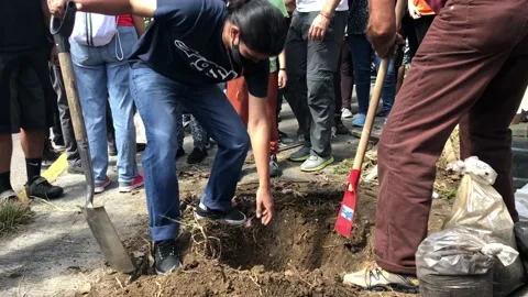 An environmental protests against tree cut off 스톡 동영상 166653775