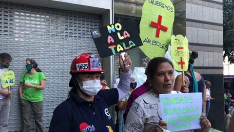 An environmental protests against tree cut off 스톡 동영상 166653802