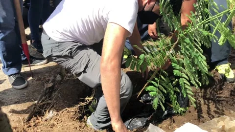 An environmental protests against tree cut off Stock Footage 166653862