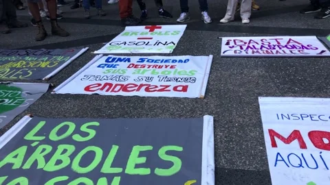 An environmental protests against tree cut off 스톡 동영상 166653885