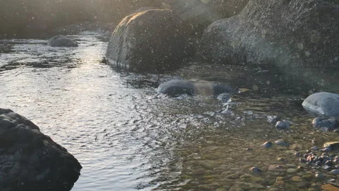 Environmental purity flows through mountain stream. Clear water reveals stones Stock Footage 323356105