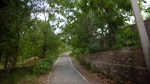 Environmental School Signboard on Tree-Lined Road, Piplantri Village, Rajasthan Video stock 313239196