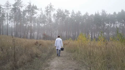 Environmental scientist walking through the forest Stock Footage 147669190
