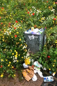 Environmental sin Stock Photos