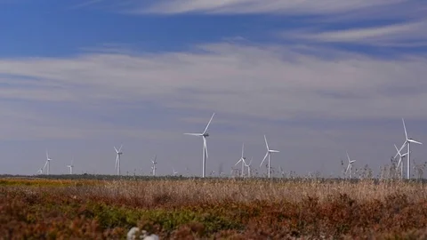 Environmental source of electricity Stock Footage 74975201