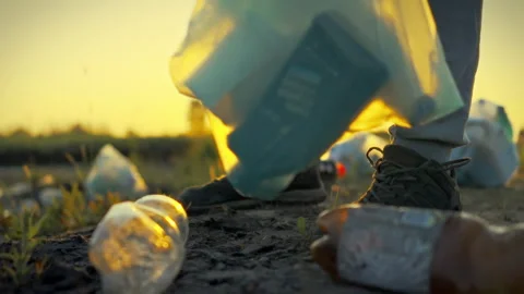 An environmental volunteer methodically segregates plastic bottles from glas Stock Footage 331460498