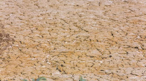 Environmental Wilderness Stock-Footage 43107689