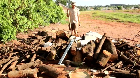 Environmentalist inspecting Trash and other Debris Dumped Illegally Vídeo Stock 168654165