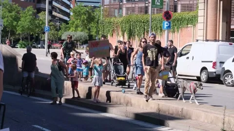 Environmentalist protest climate change global warming ccovid 19  protesters Stock Footage 161814882