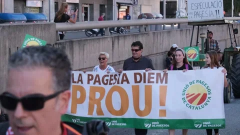 Environmentalist protest climate change global warming ccovid 19  protesters Stock Footage 161814913