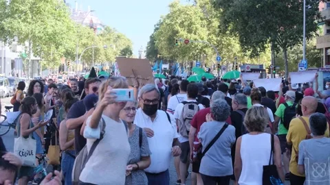 Environmentalist protest climate change global warming ccovid 19  protesters Stock Footage 161815031