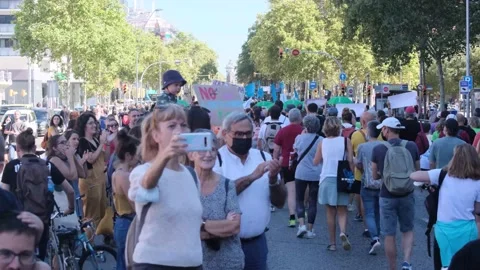 Environmentalist protest climate change global warming ccovid 19  protesters Stock Footage 161815034