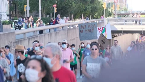 Environmentalist protest climate change global warming ccovid 19  protesters Stock Footage 161815170