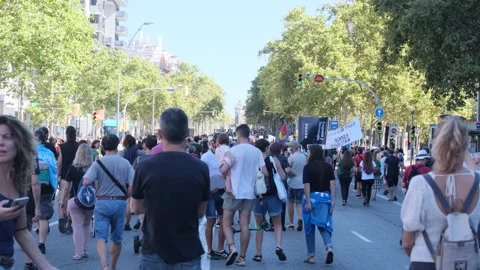 Environmentalist protest climate change global warming ccovid 19  protesters Stock Footage 161815339