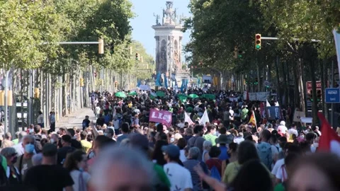 Environmentalist protest climate change global warming ccovid 19  protesters Stock Footage 161815694