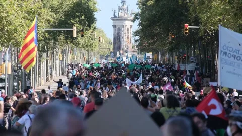 Environmentalist protest climate change global warming ccovid 19  protesters Stock Footage 161815718