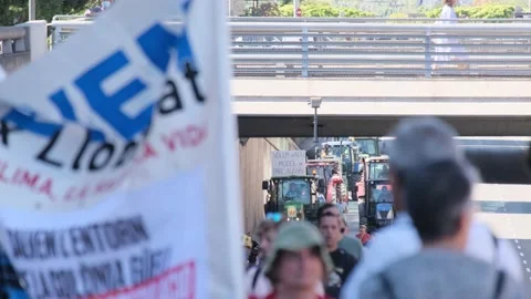 Environmentalist protest climate change global warming ccovid 19  protesters Stock-Footage 161816099