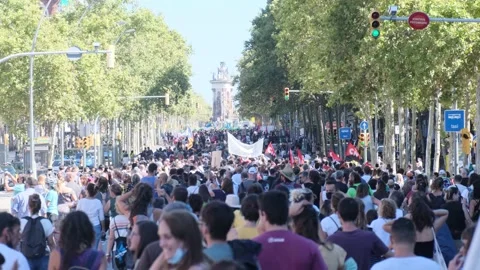 Environmentalist protest climate change global warming ccovid 19  protesters Stock Footage 161816108