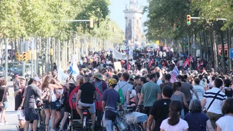 Environmentalist protest climate change global warming ccovid 19  protesters Stock Footage 161816164